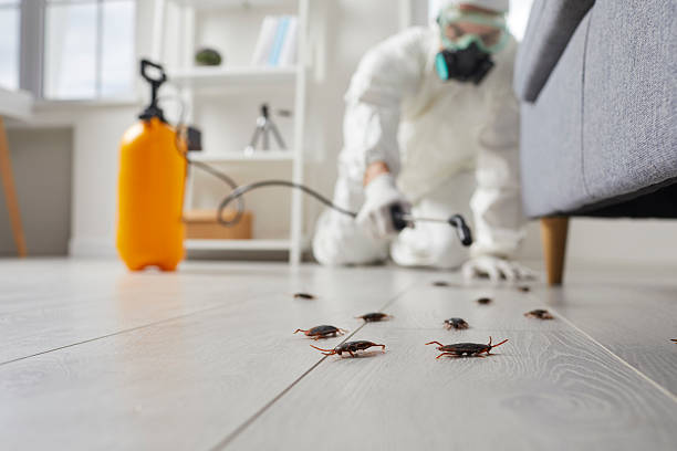Post-Treatment Bed Bug Interceptor Monitoring in Moores Mill