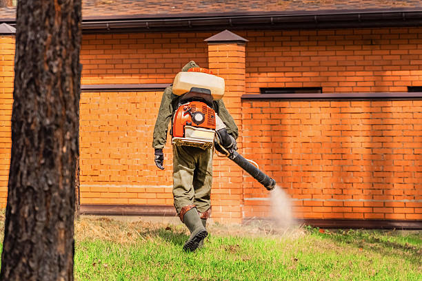 Bed Bug Clearance Verification and Documentation in Moores Mill